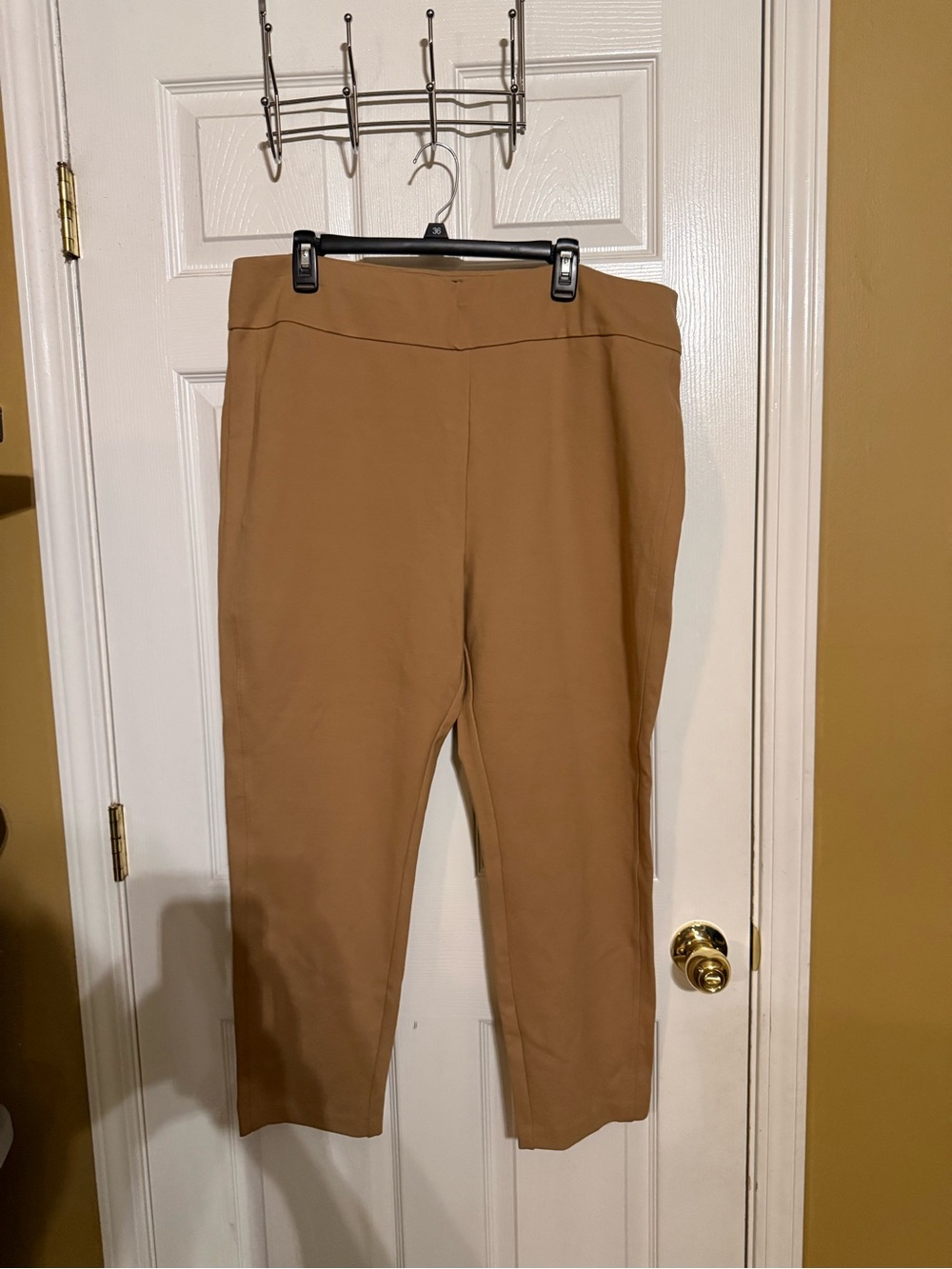 Women's Stretch Pull-On Ankle Pants in Camel, express